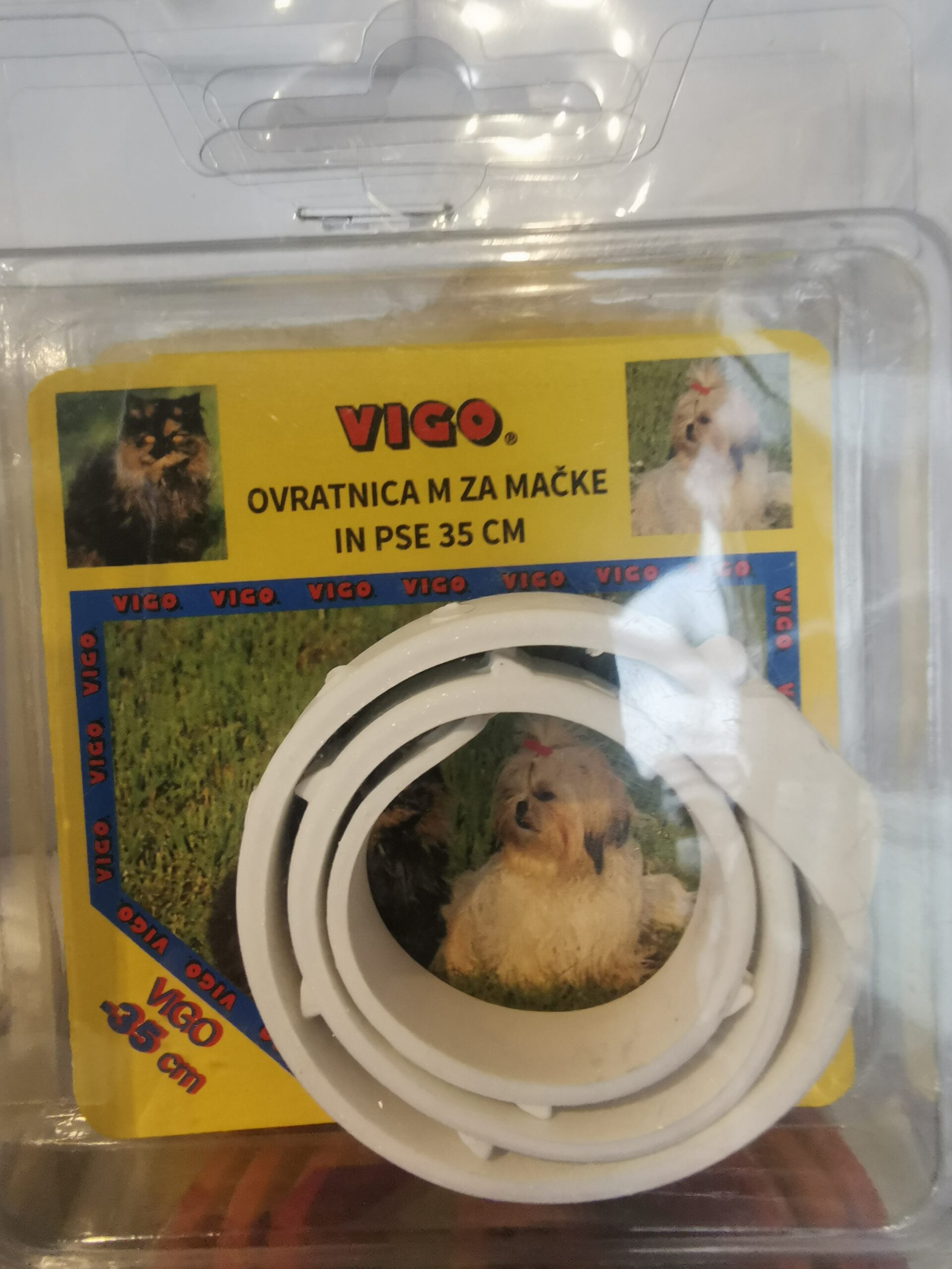 img 20221118 111157