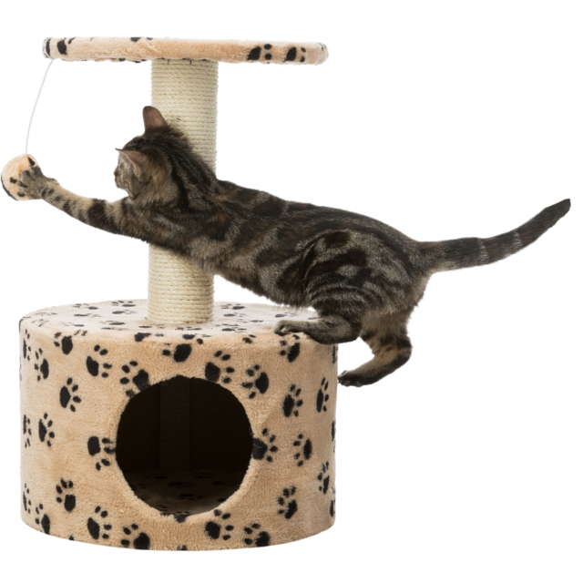 originals pho pro cat clip pho pro cat clip 43704 2 #sall #awk #v1