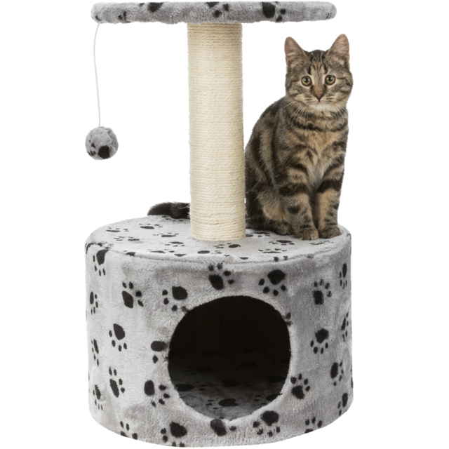 originals pho pro cat clip pho pro cat clip 43705 2 #sall #awk #v1